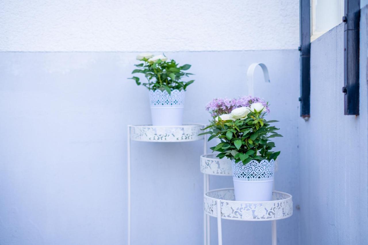 Cruwzo I Apartment With Garden Elberfeld Wuppertal Exterior photo